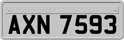 AXN7593