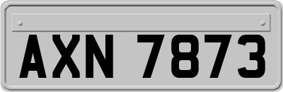 AXN7873