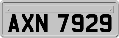 AXN7929