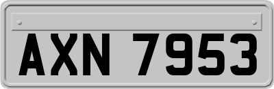 AXN7953