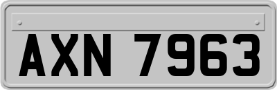 AXN7963