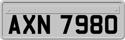 AXN7980