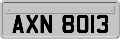 AXN8013