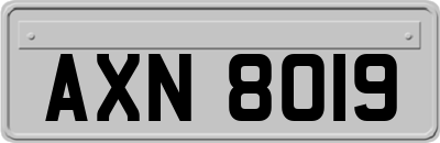 AXN8019