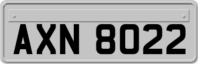 AXN8022