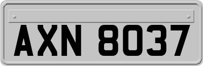 AXN8037