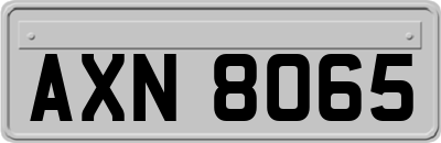 AXN8065