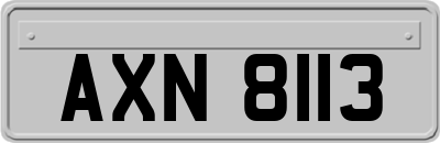 AXN8113
