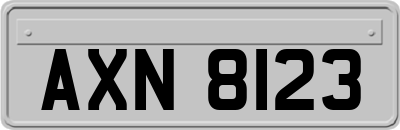 AXN8123