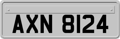 AXN8124