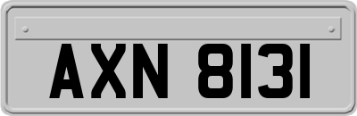 AXN8131