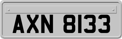 AXN8133