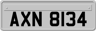 AXN8134