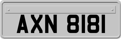 AXN8181