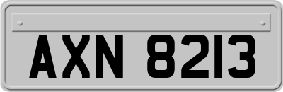 AXN8213