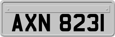 AXN8231