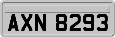 AXN8293