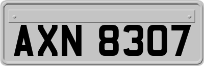 AXN8307
