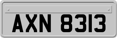 AXN8313