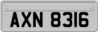 AXN8316