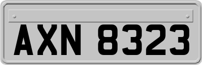 AXN8323
