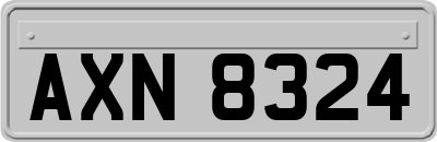 AXN8324
