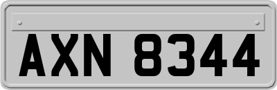 AXN8344