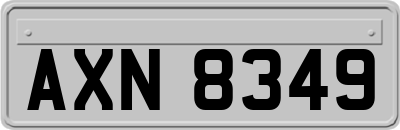 AXN8349