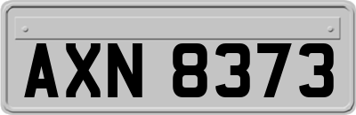AXN8373