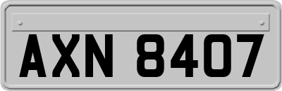 AXN8407