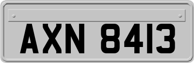 AXN8413