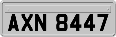 AXN8447