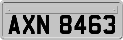 AXN8463