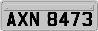 AXN8473