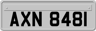 AXN8481