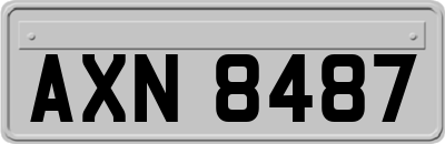 AXN8487