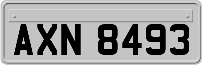 AXN8493