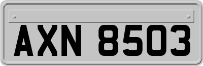 AXN8503