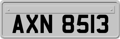 AXN8513