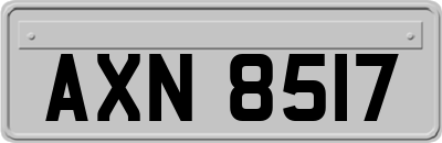 AXN8517