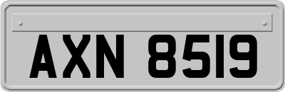 AXN8519
