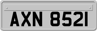 AXN8521