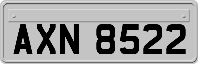 AXN8522