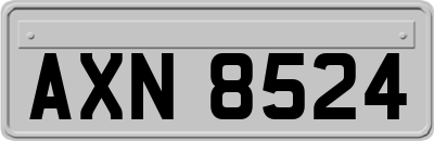 AXN8524