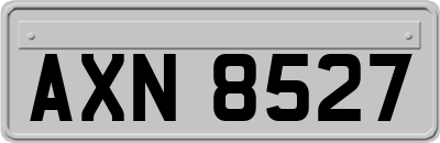 AXN8527
