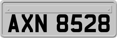AXN8528