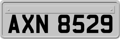 AXN8529