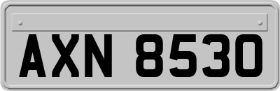 AXN8530