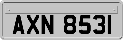 AXN8531