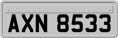 AXN8533